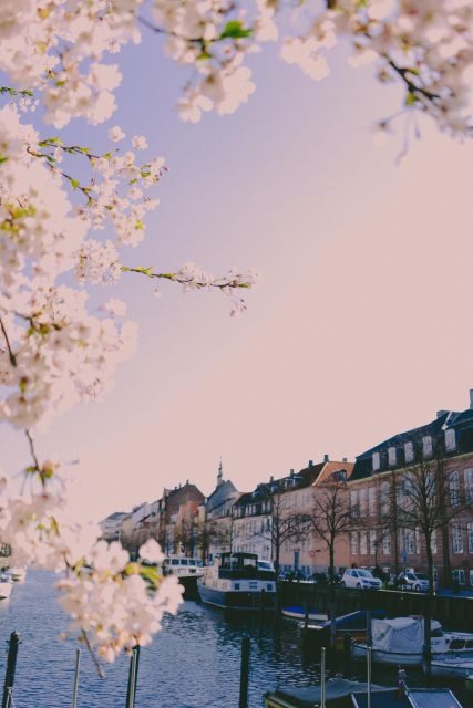 Copenhagen Private 3h biking tour - What to expect on the ground: pace, breaks, and how it feels